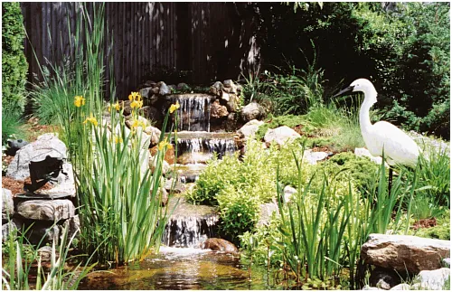 Expert landscaping services for residential properties in Norwalk, CT by Loglisci Water Gardens
