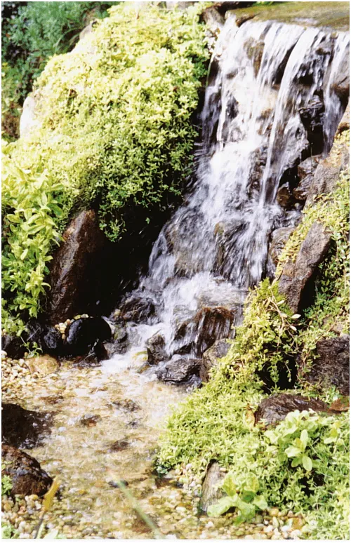 Reliable outdoor landscaping in Norwalk, CT by Loglisci Water Gardens