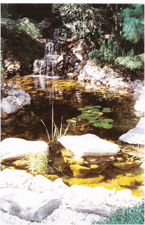 Custom garden landscaping in Norwalk, CT - Loglisci Water Gardens