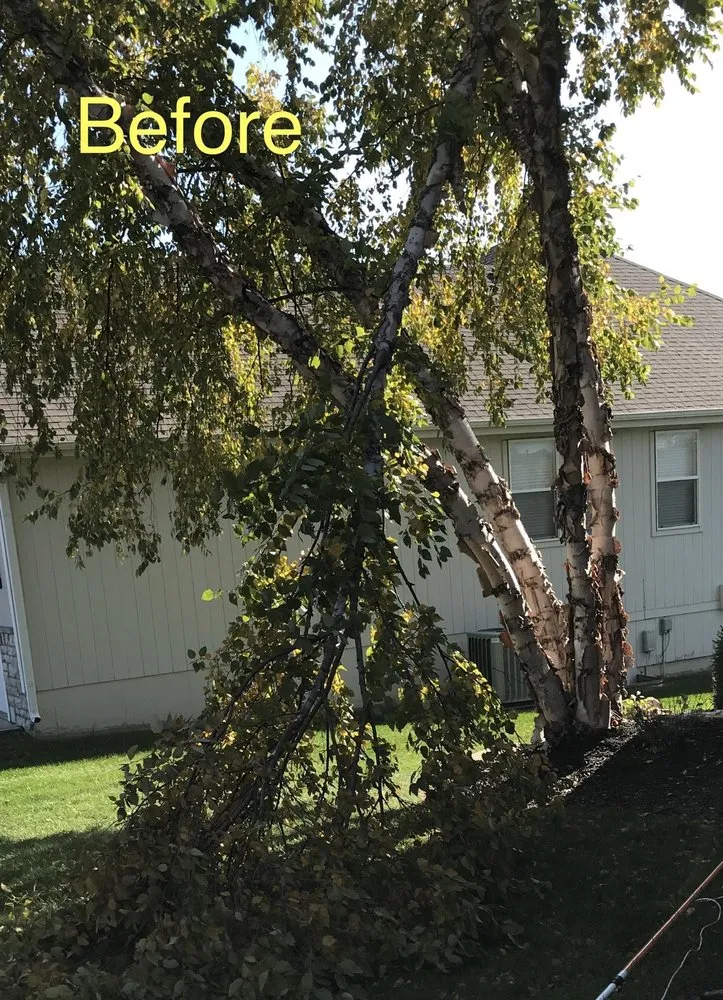 Expert landscape design with custom design across Lees Summit, MO - Logsdon Lawn & Garden