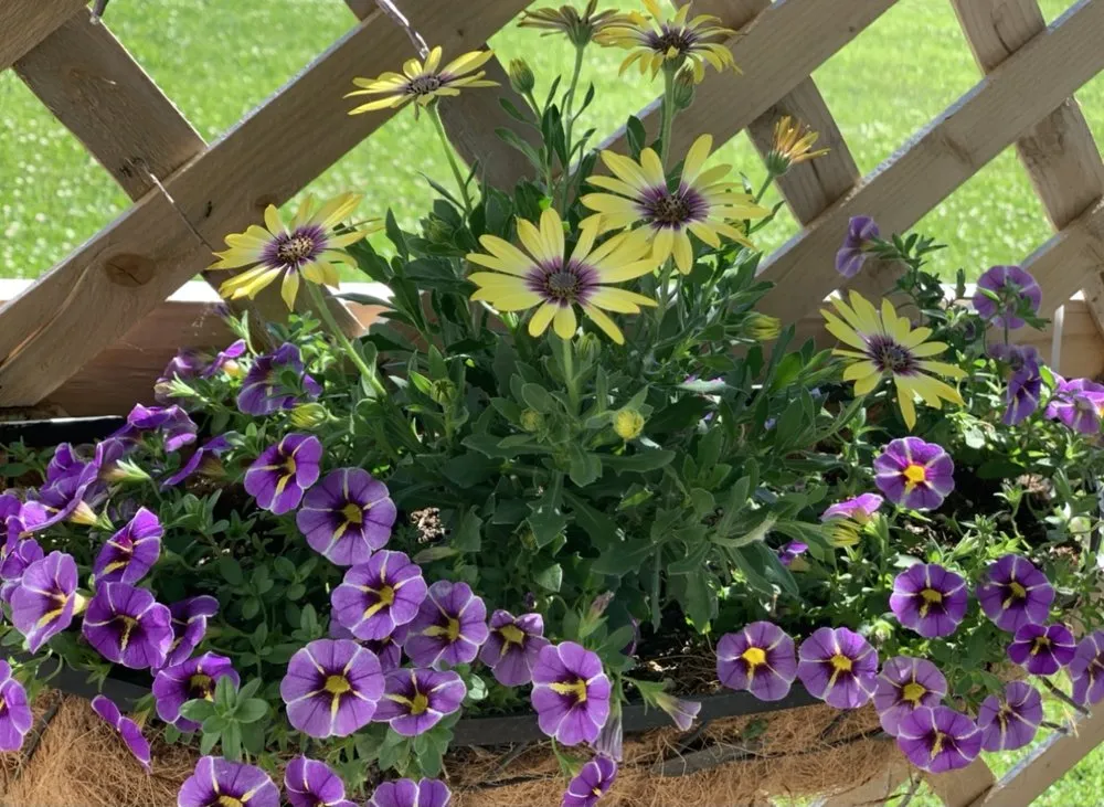 Expert yard cleanup service in Fort Wayne, IN by Logue Enterprises Landscape