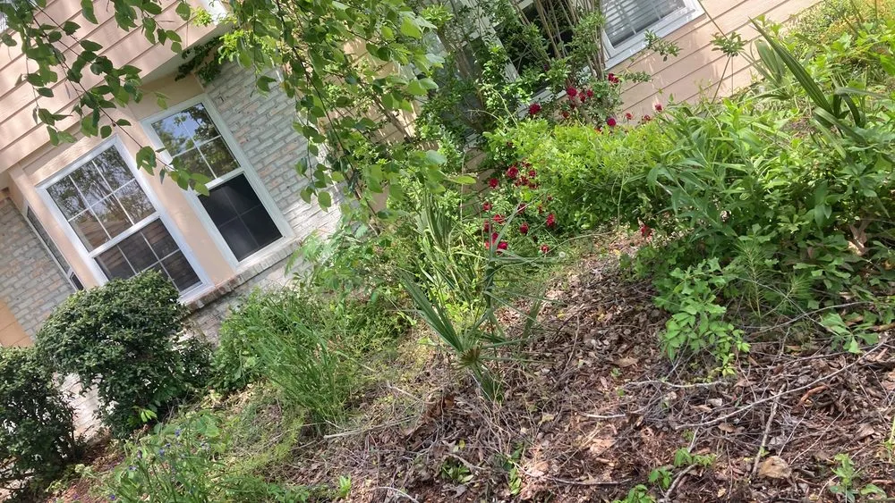 Expert landscape design in Little River, SC by Logue’s Home Services