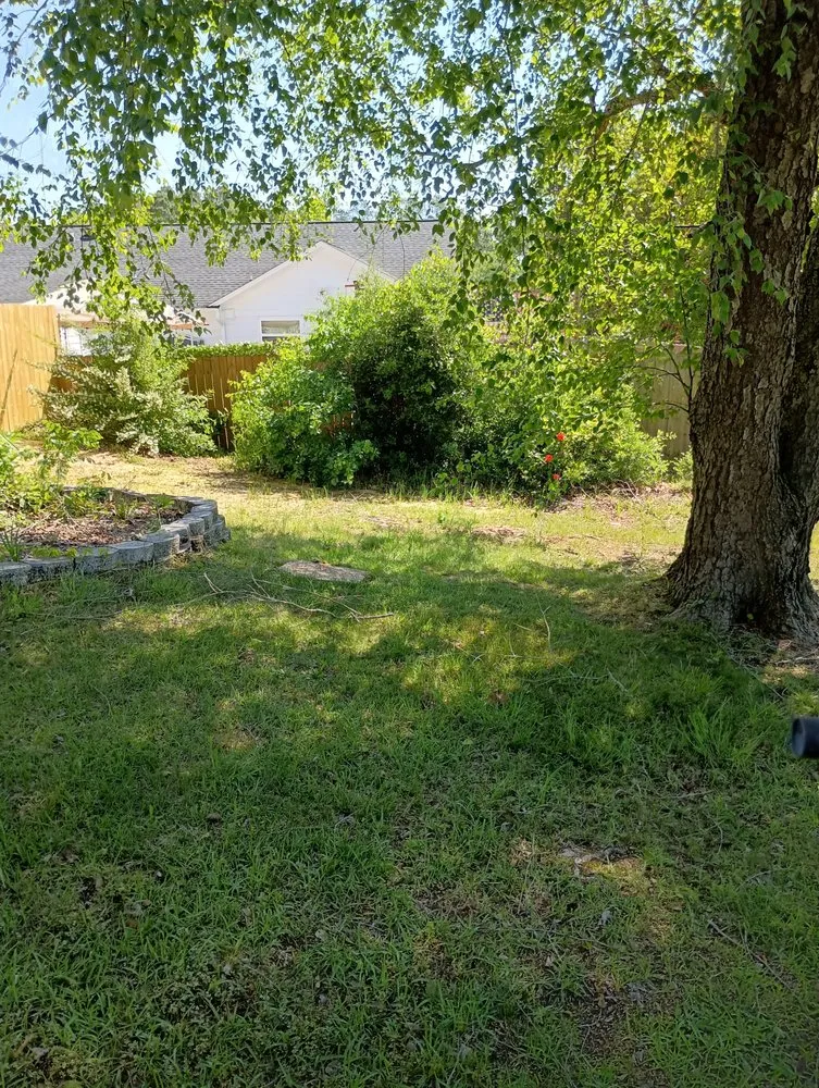 Local lawn care service experts serving Little River, SC - Logue’s Home Services