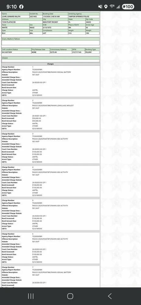 Affordable lawn mowing service in New Port Richey, FL by Lohr Property Maintenance