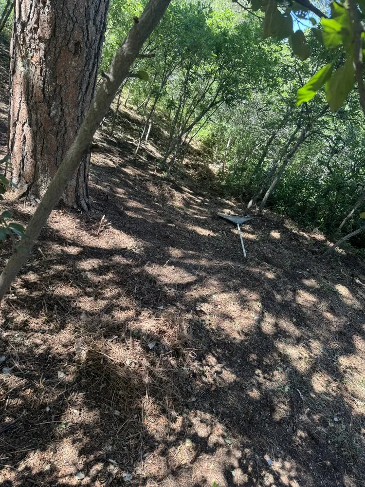 Trusted yard maintenance experts serving Castle Rock, CO - Lokeni Sales Solutions