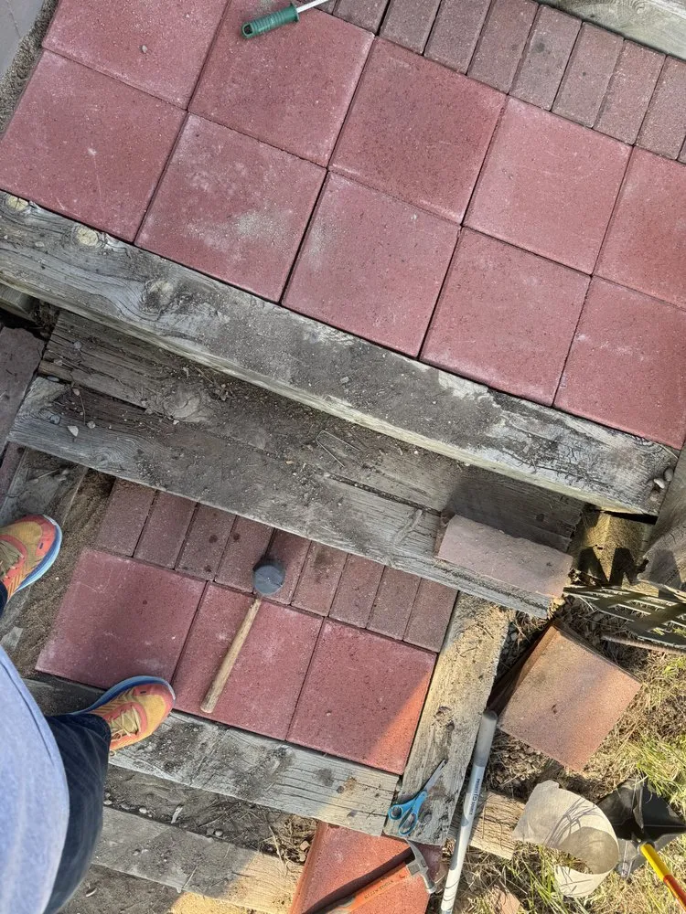 Professional yard maintenance in Castle Rock, CO - Lokeni Sales Solutions