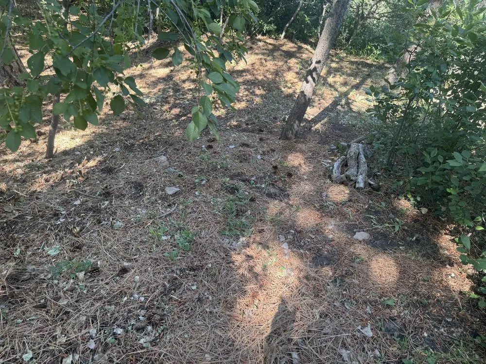 Affordable yard cleanup service in Castle Rock, CO by Lokeni Sales Solutions