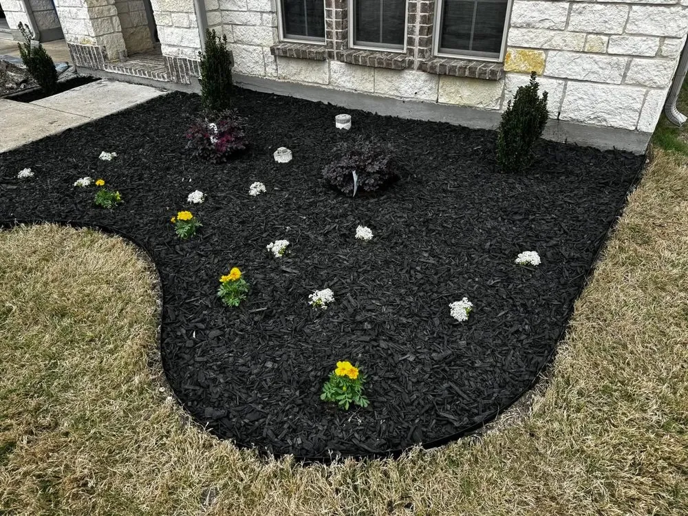 Trusted yard maintenance in Castle Rock, CO by Lokeni Sales Solutions