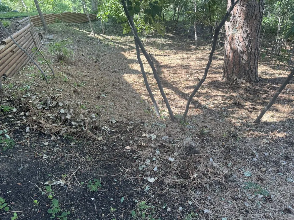 Trusted outdoor landscaping in Castle Rock, CO by Lokeni Sales Solutions