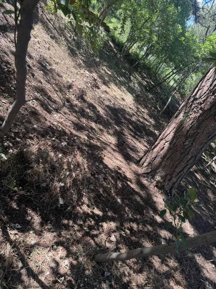 Affordable outdoor landscaping in Castle Rock, CO by Lokeni Sales Solutions