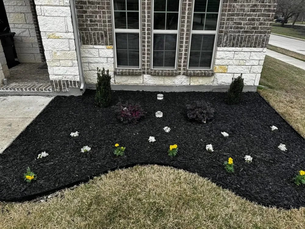 Expert lawn care service experts serving Castle Rock, CO - Lokeni Sales Solutions