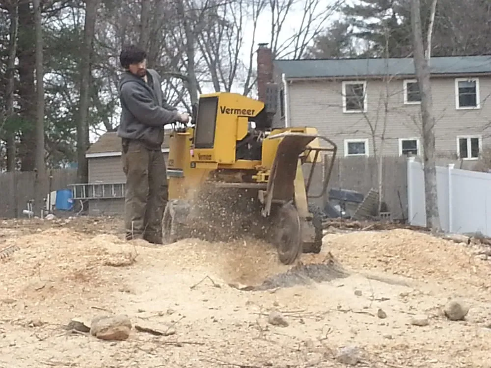 Professional landscape installation in Franklin, MA - Lola's Landscape