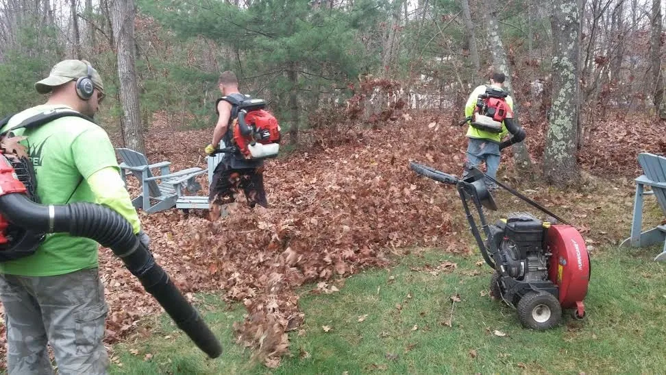 Affordable yard maintenance in Franklin, MA - Lola's Landscape