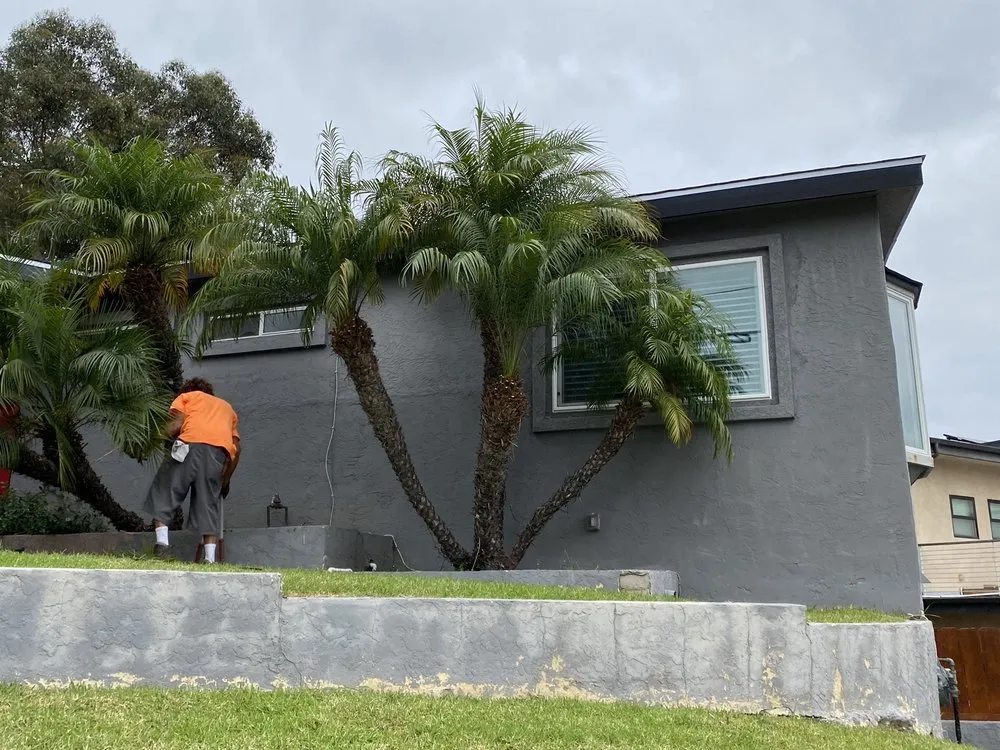 Local lawn mowing service for outdoor upgrades across San Diego, CA - Loma Landscape