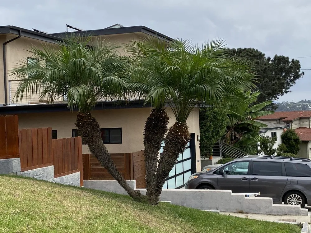 Affordable lawn care service in San Diego, CA - Loma Landscape