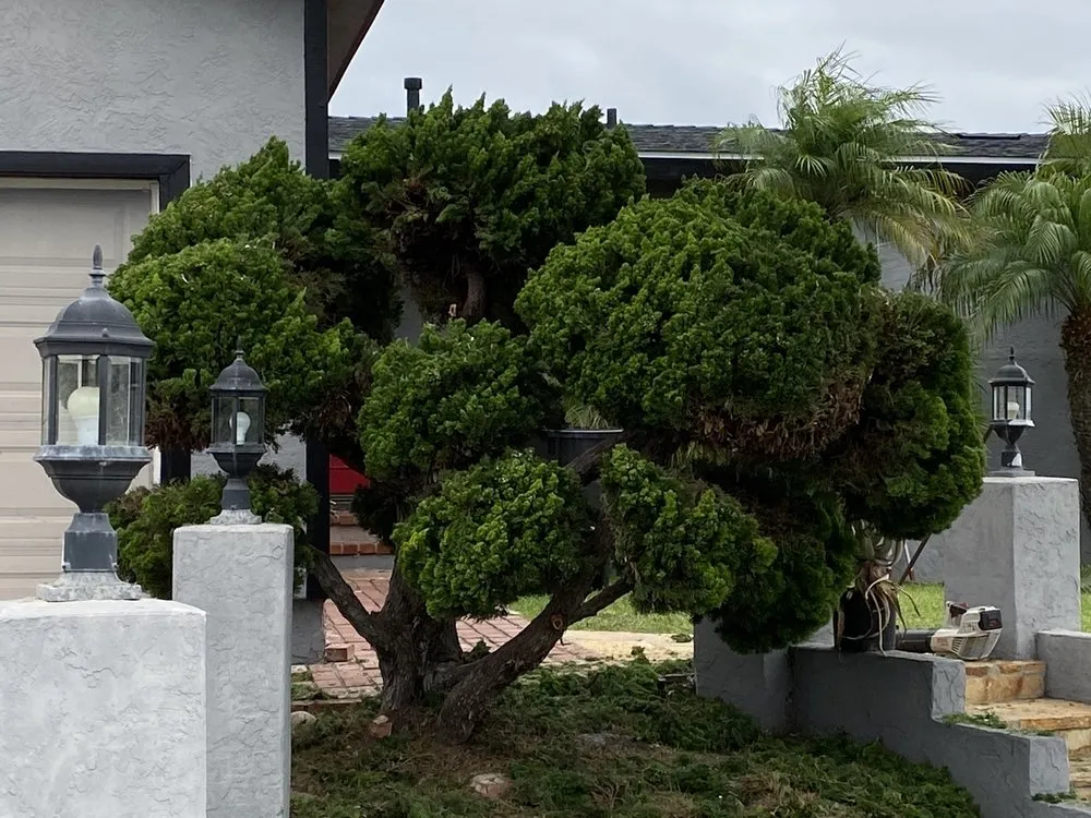 Affordable garden landscaping for year-round maintenance across San Diego, CA - Loma Landscape