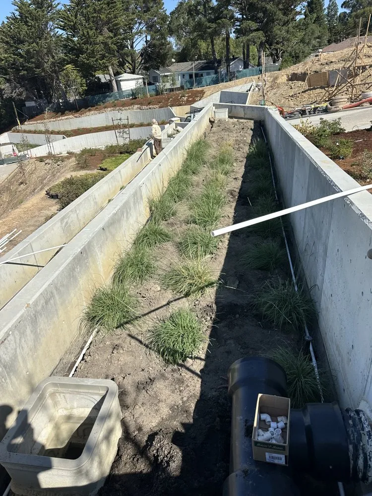 Top-rated outdoor landscaping in San Mateo, CA - Loma Verde Gardens