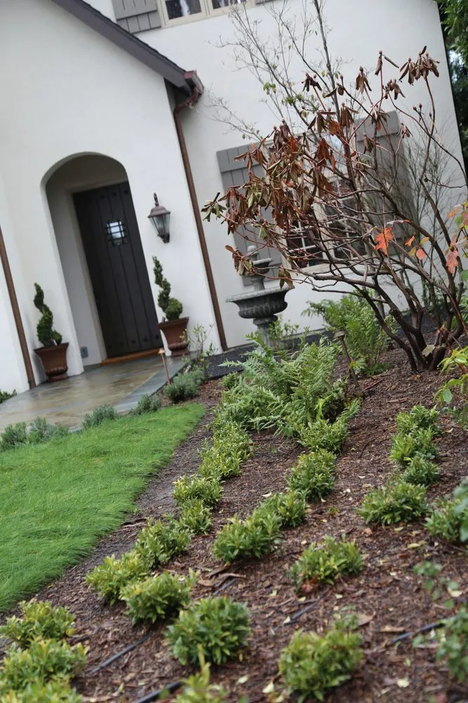 Professional outdoor landscaping for homes across San Mateo, CA - Loma Verde Gardens