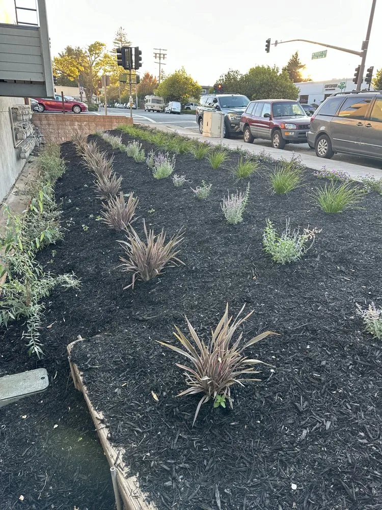 Top-rated landscaping services in San Mateo, CA by Loma Verde Gardens