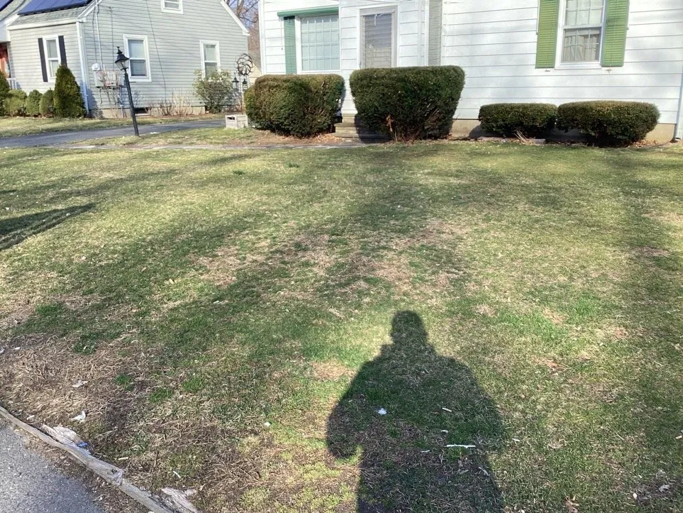 Professional lawn mowing service in Holyoke, MA - Lomas Landscaping