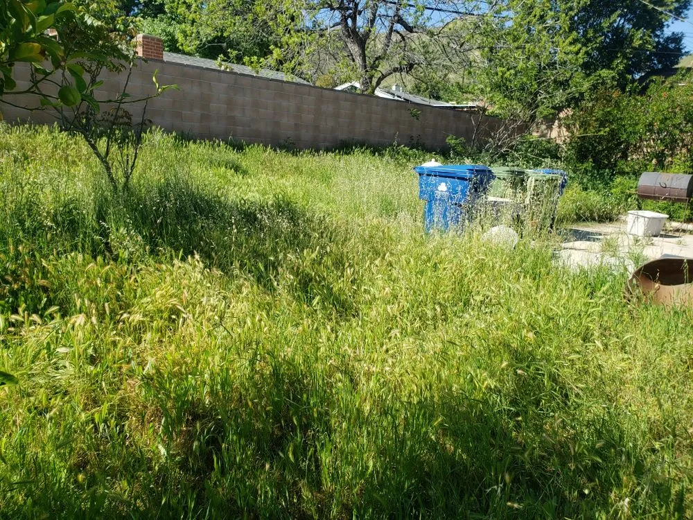 Custom landscaping services in Pacoima, CA by Lomas Verdes Landscaping