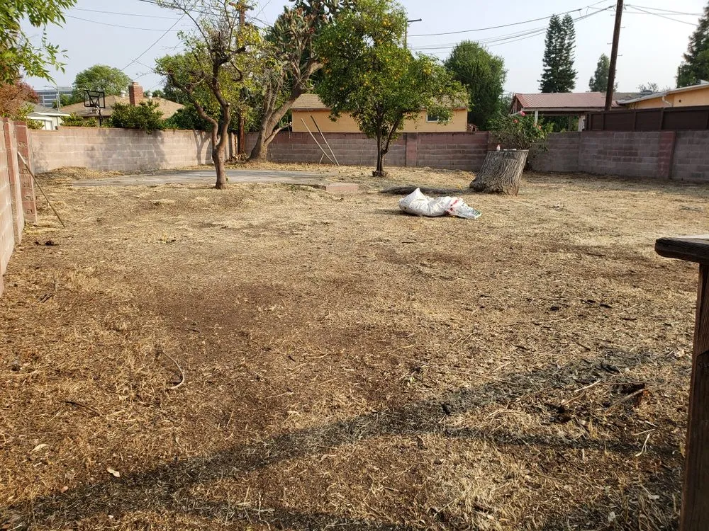 Custom residential landscaping experts serving Pacoima, CA - Lomas Verdes Landscaping