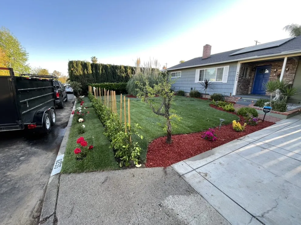 Top-rated outdoor landscaping for residential properties across Pacoima, CA - Lomas Verdes Landscaping