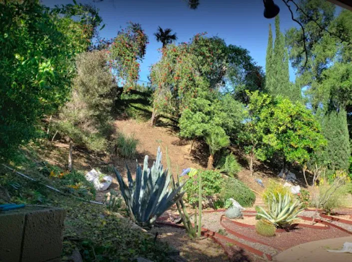 Top-rated outdoor landscaping near you in Pacoima, CA by Lomas Verdes Landscaping
