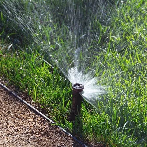 Trusted landscape installation with custom design in Pacoima, CA by Lomas Verdes Landscaping