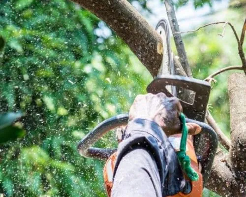 Professional garden landscaping in Pacoima, CA - Lomas Verdes Landscaping