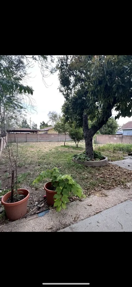 Custom landscape installation in Pacoima, CA by Lomas Verdes Landscaping