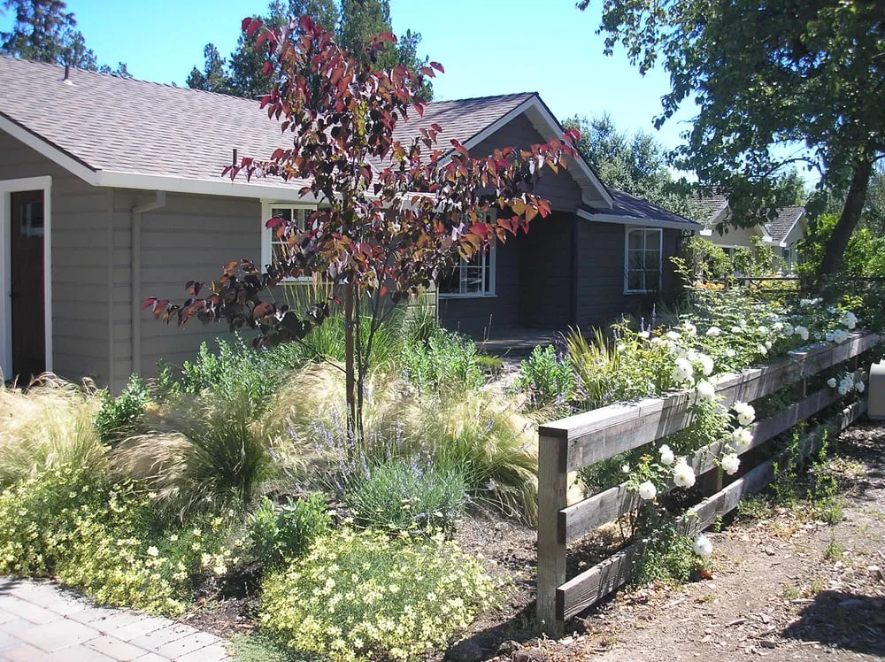 Affordable yard cleanup service for outdoor upgrades across Los Altos, CA - Lomax Landscaping