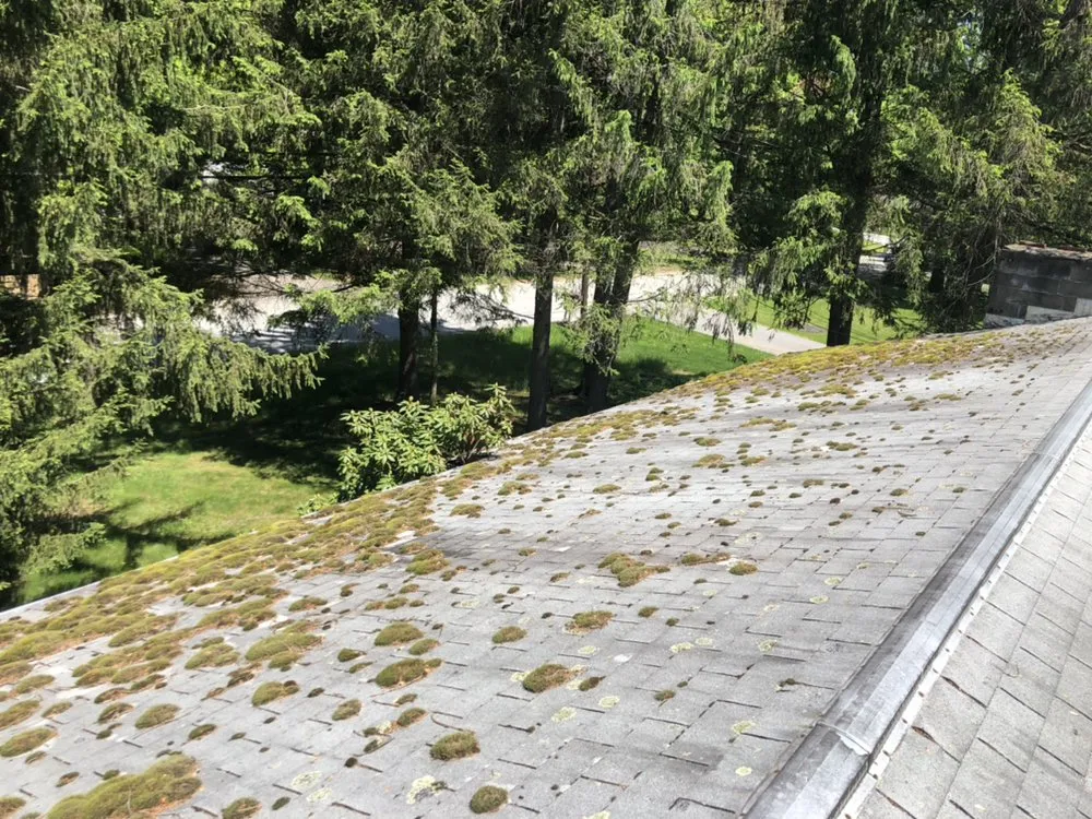 Affordable landscape design in Brewster, NY - Lombardo’s Landscaping & Plowing