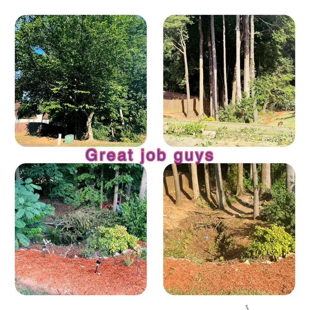 Affordable landscape design in Senoia, GA - Lombera Tree Service