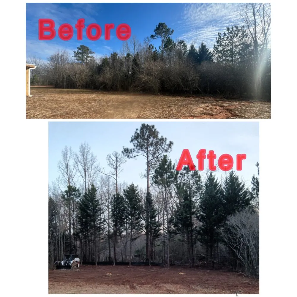 Top-rated residential landscaping for homes across Senoia, GA - Lombera Tree Service