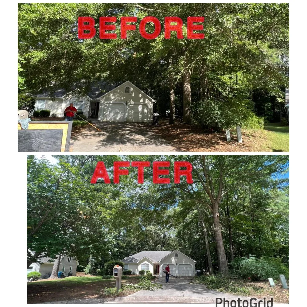 Local yard maintenance for beautiful yards across Senoia, GA - Lombera Tree Service