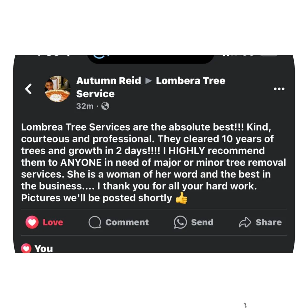 Trusted lawn care service in Senoia, GA by Lombera Tree Service