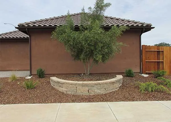 Top-rated lawn care service in Paso Robles, CA by Lomeli Landscapes