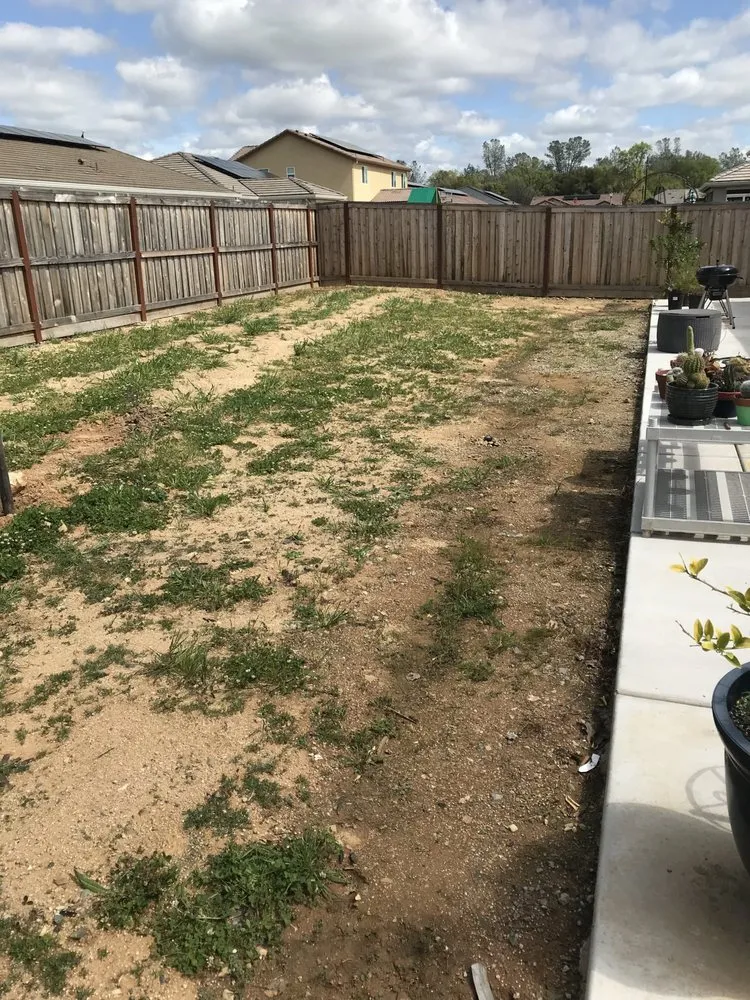 Expert landscape design with custom design in Roseville, CA by Lomeli's Landscape