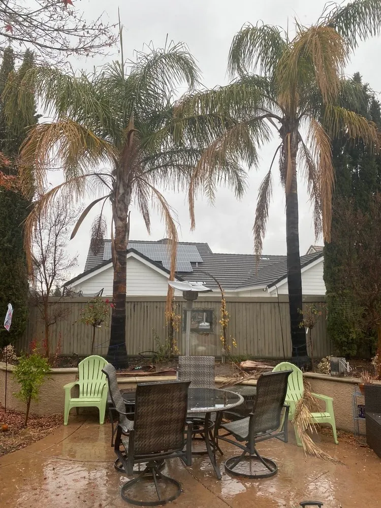 Professional landscape design near you in Roseville, CA by Lomeli's Landscape