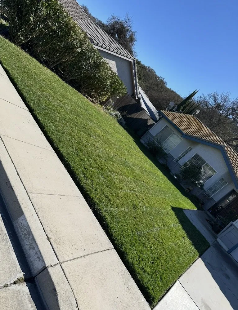 Local landscaping services in KING CITY, CA - Lomeli’s Landscaping