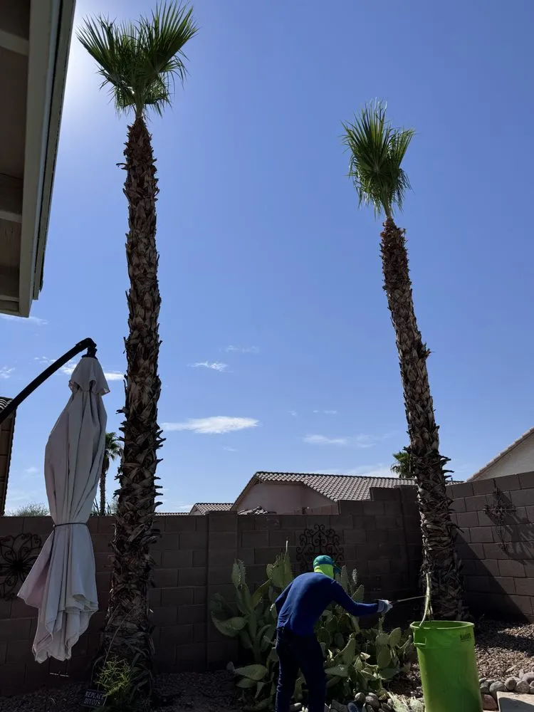 Expert residential landscaping in Peoria, AZ - Lomitas Landscaping