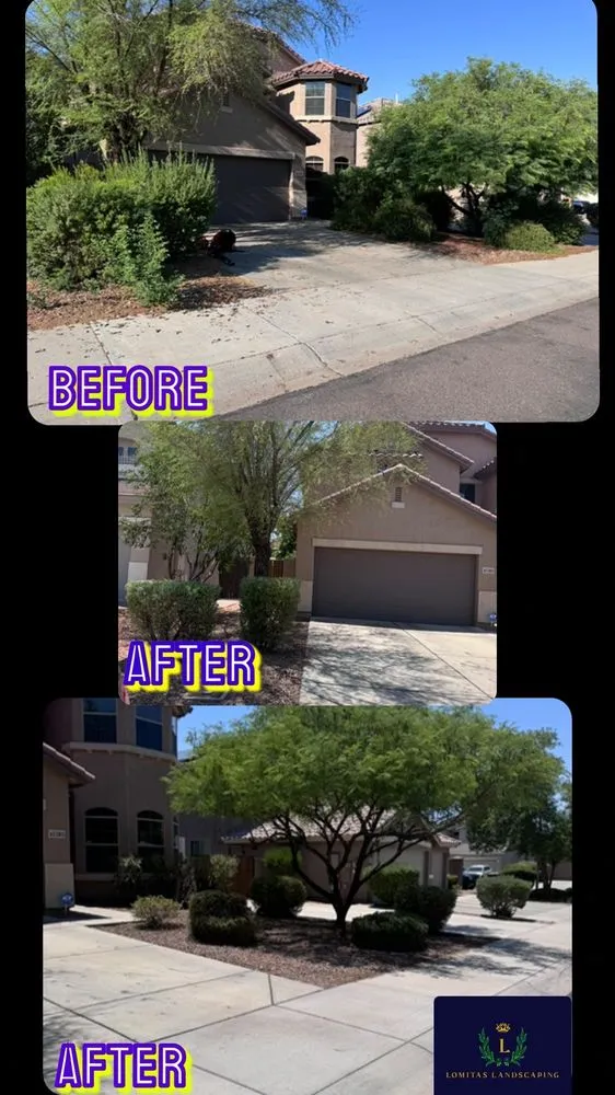 Affordable lawn care service in Peoria, AZ by Lomitas Landscaping