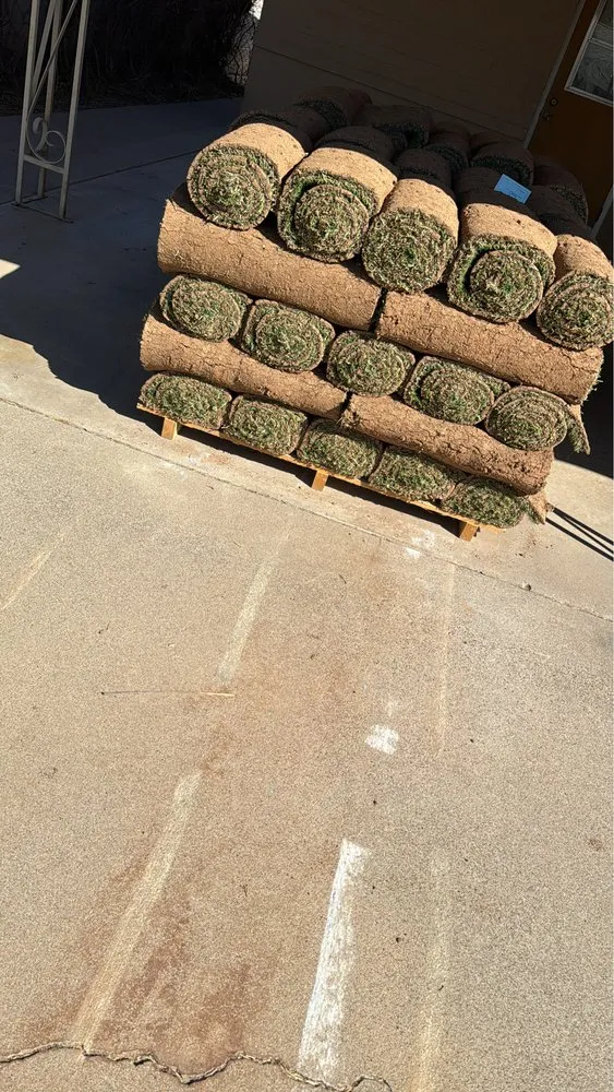 Local landscape design experts serving Peoria, AZ - Lomitas Landscaping