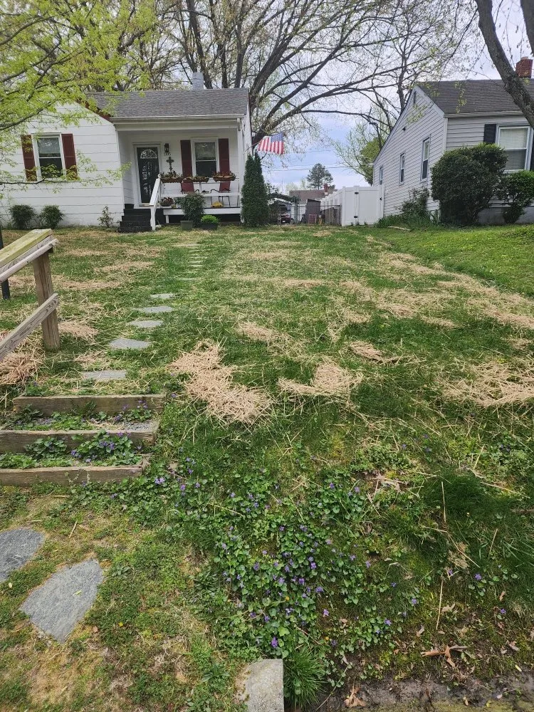 Custom residential landscaping in Glen Allen, VA by Lomo Lawn Service