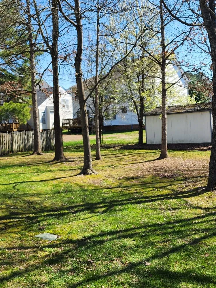 Reliable lawn mowing service experts serving Glen Allen, VA - Lomo Lawn Service