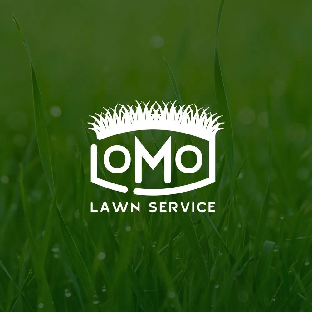 Professional residential landscaping in Glen Allen, VA - Lomo Lawn Service