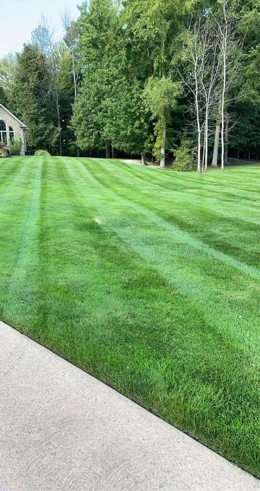 Trusted yard maintenance in Erie, PA - Lomonte’s Land Services