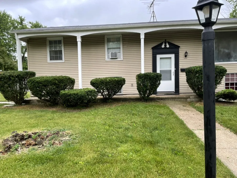 Professional lawn care service for beautiful yards across Chicago, IL - Lon Mowing yard care and Maintenance