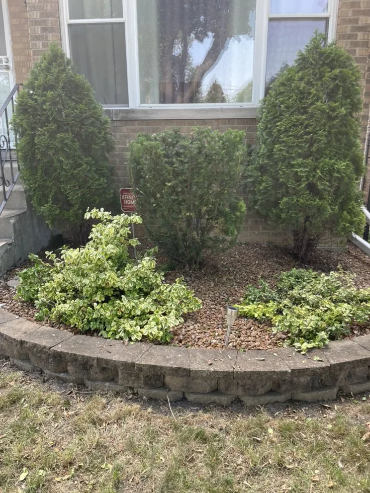 Affordable landscape installation near you across Chicago, IL - Lon Mowing yard care and Maintenance